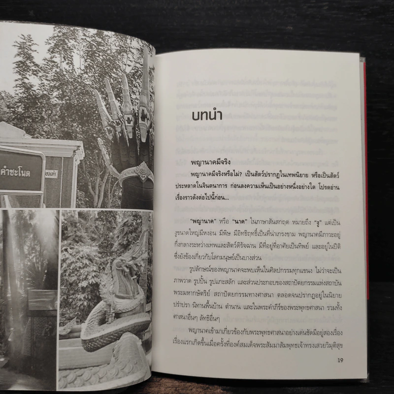 เรื่องเล่าหรือเรื่องจริง - นที ลานโพธิ์ รูปที่ 7
