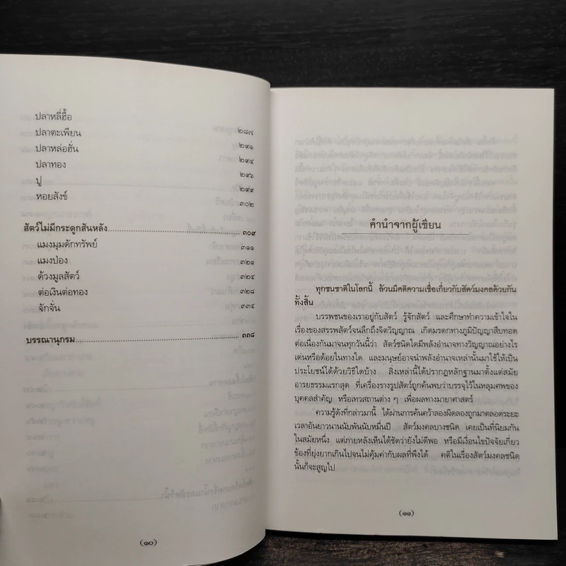 สัตว์มงคล เครื่องราง ของขลัง - กิตติ วัฒนะมหาตม์ รูปที่ 8