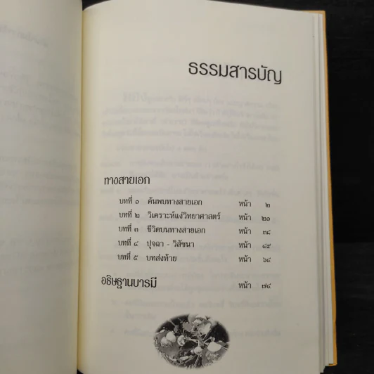 ทางสายเอก - ดร.สนอง วรอุไร รูปที่ 6