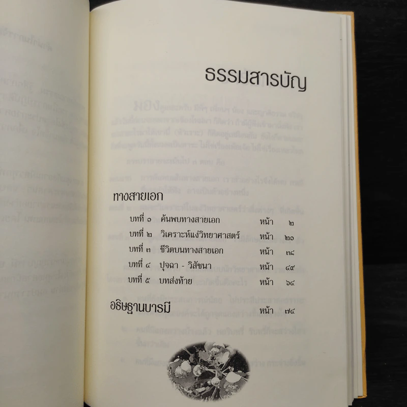 ทางสายเอก - ดร.สนอง วรอุไร รูปที่ 6