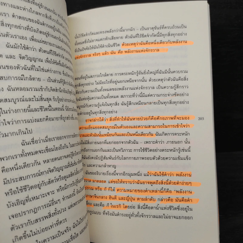 ตัวตนใหม่จากลมหายใจสุดท้าย - Anita Moorjani รูปที่ 10