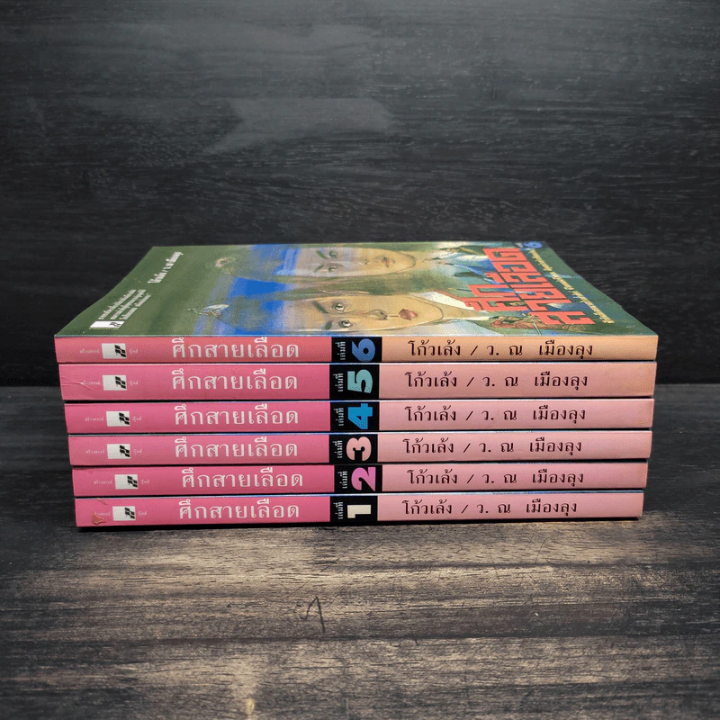 Box Set ศึกสายเลือด 6 เล่มจบ - เซียงกัวเตี้ย, ว.ณ เมืองลุง รูปที่ 6