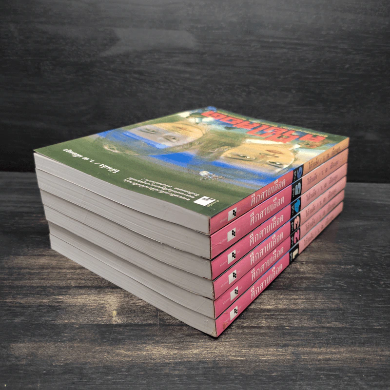 Box Set ศึกสายเลือด 6 เล่มจบ - เซียงกัวเตี้ย, ว.ณ เมืองลุง รูปที่ 8