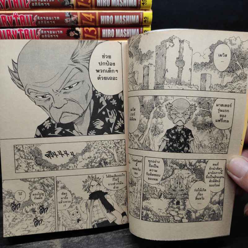 Fairy Tail ศึกจอมเวทอภินิหาร เล่ม 1-26 รูปที่ 6