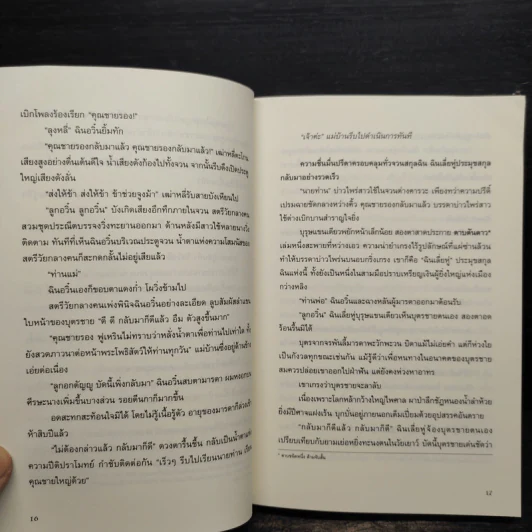 กระบี่เหินพิชิตฟ้า 20 เล่มจบ - หว่อชือซีหงสื้อ รูปที่ 8