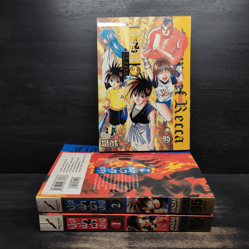 เปลวฟ้าผ่าปฐพี เล่ม 1-3 รูปที่ 1