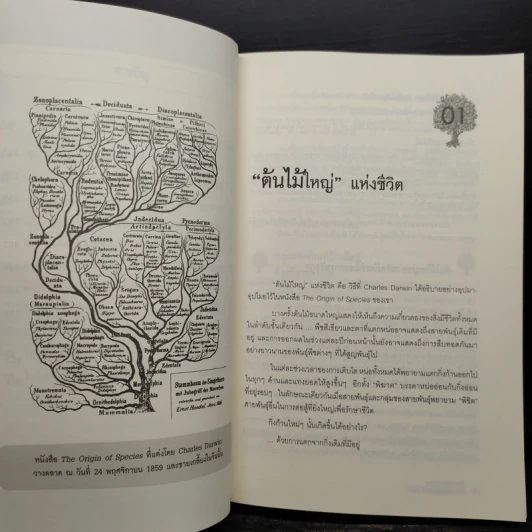 ต้นกำเนิดแบรนด์ The Origin of Brands - Al Ries, Laura Ries รูปที่ 7