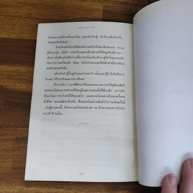 แสงตะวันในสายหมอก - ปิยะพร ศักดิ์เกษม รูปที่ 8