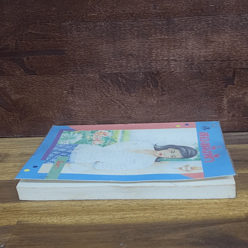 สองฝั่งฟ้า - นิดา รูปที่ 3