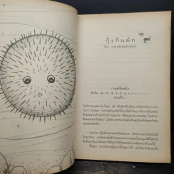 นิทานรถติด - กุลฤดี ภาสุรกุล รูปที่ 8