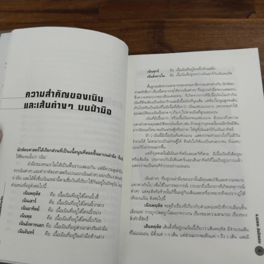 เส้นสายลายมือสื่อความรัก - อ.เบญจะ ชินปัญชนะ รูปที่ 8