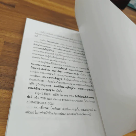 สลายความขัดแย้ง - พระพรหมคุณาภรณ์ (ป.อ.ปยุตโต) รูปที่ 8