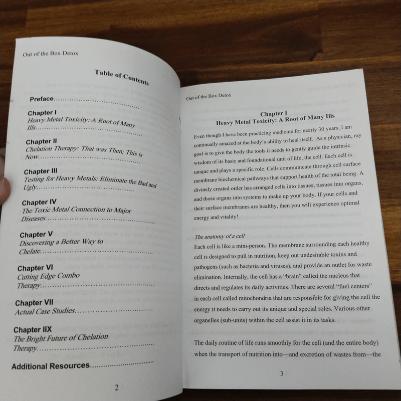 Detox Outside the Box - Rita Ellithorpe รูปที่ 5