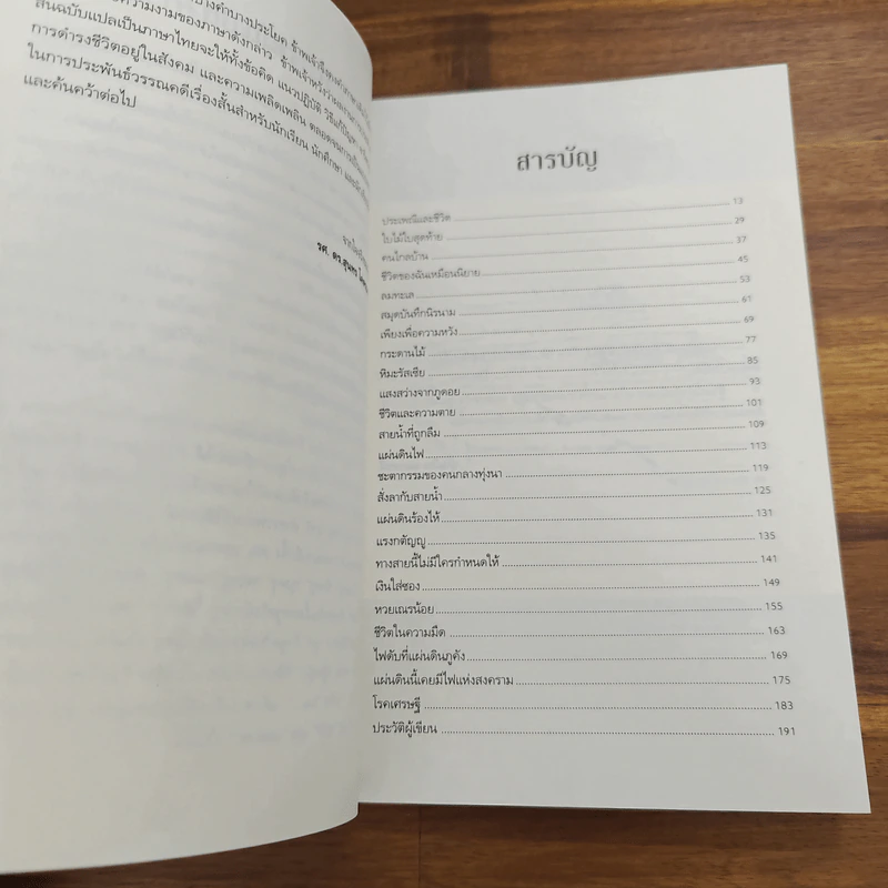 ใบไม้ใบสุดท้าย - บุนเสิน แสงมะนี รูปที่ 7