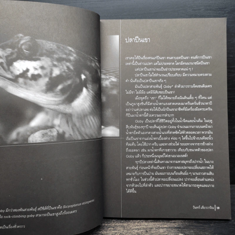 ชีวิตเป็นเรื่องชั่วคราว - วินทร์ เลียววาริณ รูปที่ 7