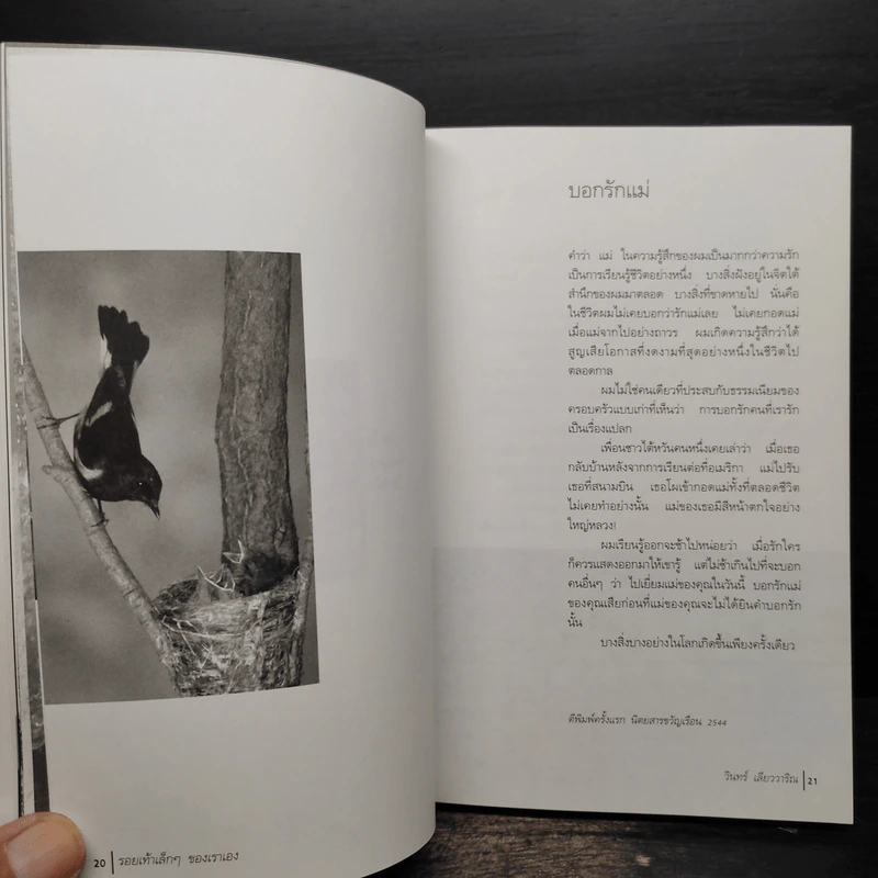 รอยเท้าเล็กๆของเราเอง - วินทร์ เลียววาริณ รูปที่ 8