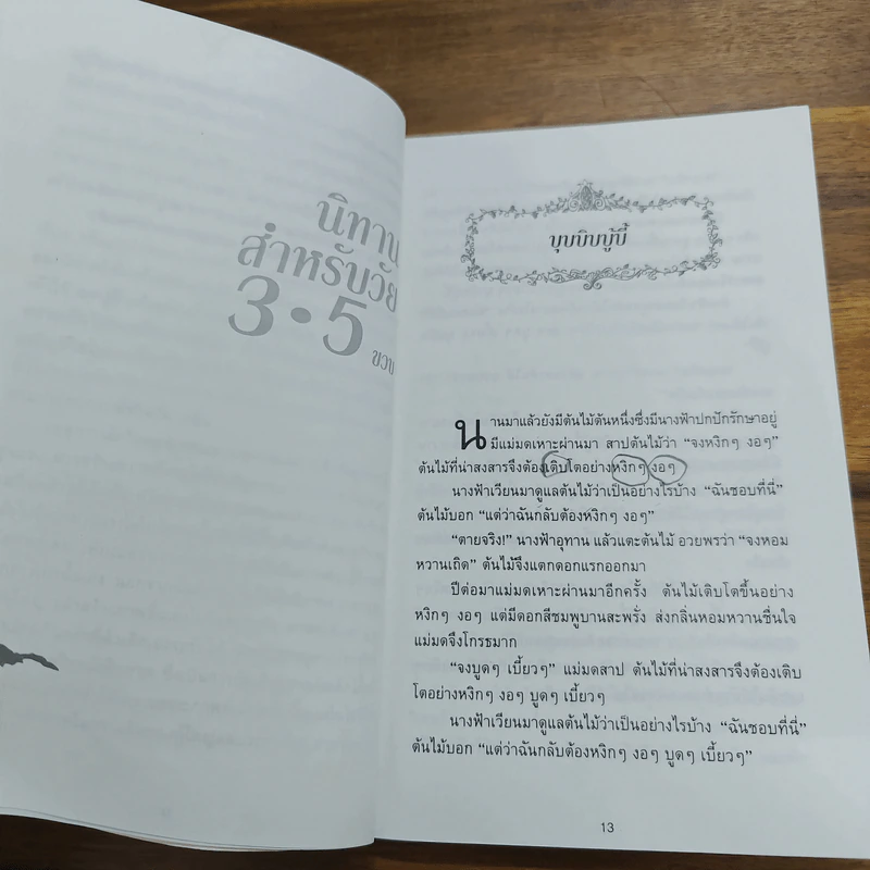 เมฆเริงรำ สายน้ำร้องเพลง รูปที่ 8