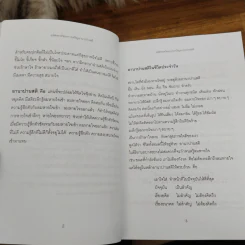 สติเป็นธรรมเอก - พระอาจารย์มิตซูโอะ คเวสโก รูปที่ 7