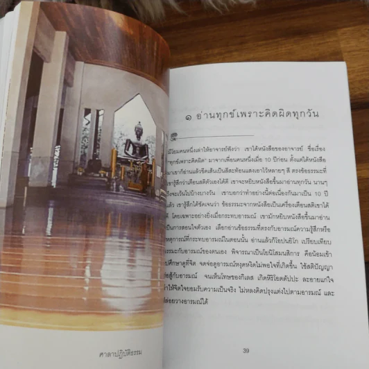สติเป็นธรรมเอก - พระอาจารย์มิตซูโอะ คเวสโก รูปที่ 8