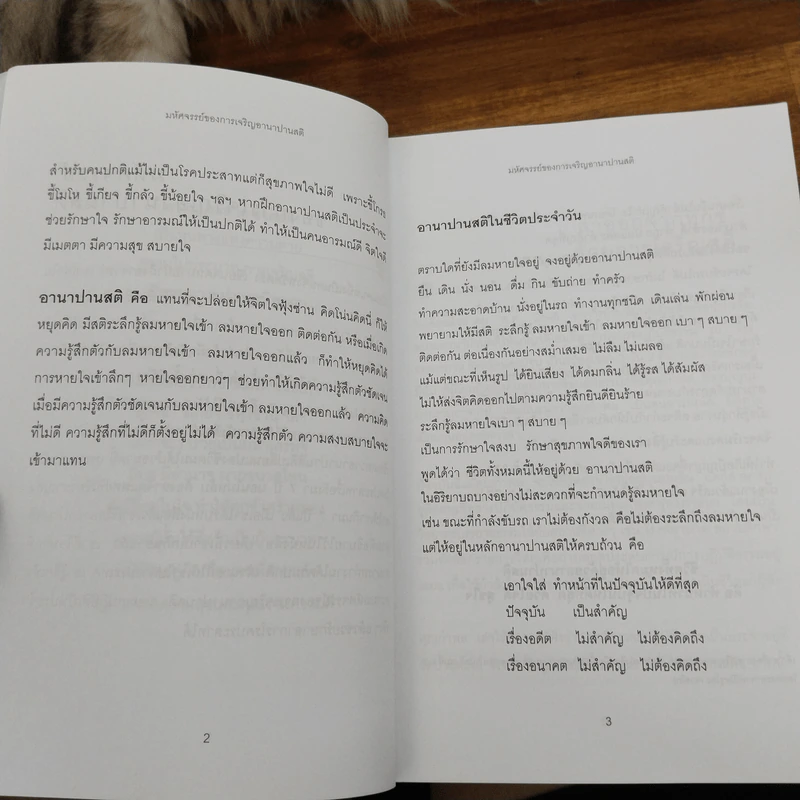 สติเป็นธรรมเอก - พระอาจารย์มิตซูโอะ คเวสโก รูปที่ 7