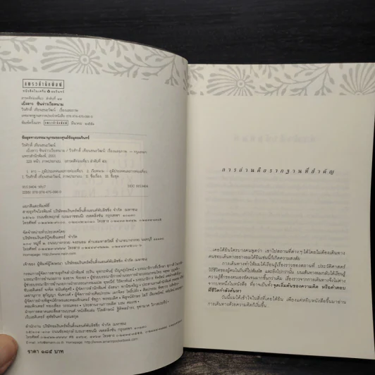 เบิ่งลาว ซินจ่าวเวียดนาม - วีรศักดิ์ เทียนธนะวัฒน์ รูปที่ 5
