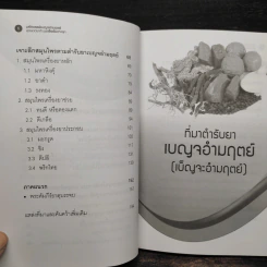 มหัศจรรย์เบญจอำมฤตย์ สุดยอดยาต้านมะเร็งตับ - หมออาสาแพทย์แผนไทย รูปที่ 7