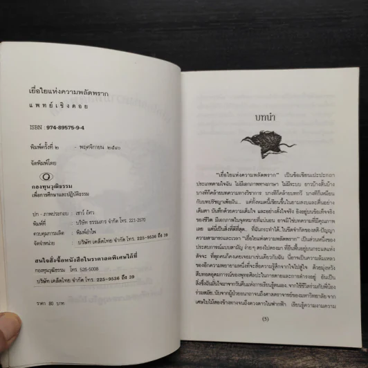 เยื่อใยแห่งความพลัดพราก - แพทย์เชิงดอย รูปที่ 5