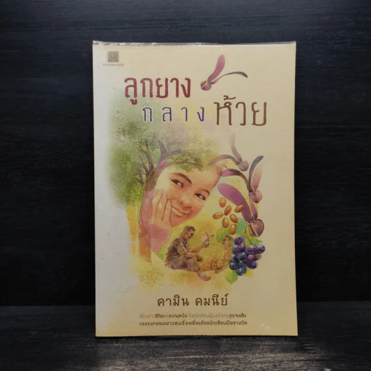 ลูกยางกลางห้วย - คามิน คมนีย์ รูปที่ 1