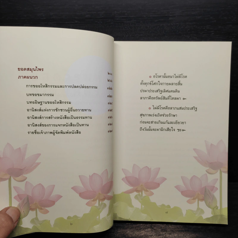 ยอดวิรุฬห์ ชาติมนตรี อาจารย์ยอดผู้เสียสละ - อุ้ม อุ้มบุญ รูปที่ 6