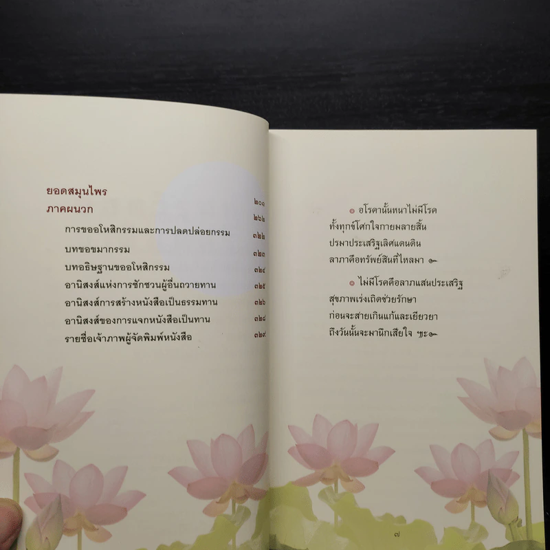 ยอดวิรุฬห์ ชาติมนตรี อาจารย์ยอดผู้เสียสละ - อุ้ม อุ้มบุญ รูปที่ 6