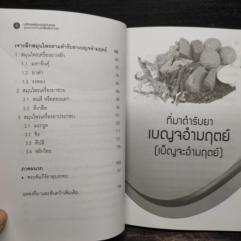 มหัศจรรย์เบญจอำมฤตย์ สุดยอดยาต้านมะเร็งตับ - หมออาสาแพทย์แผนไทย รูปที่ 7