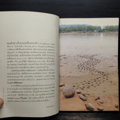 ๑๔๒ วัน ๑,๘๐๐ กม. นิเวศศิลป์ริมโขงของศิลปินนอกคอก - พิน สาเสาร์ รูปที่ 7