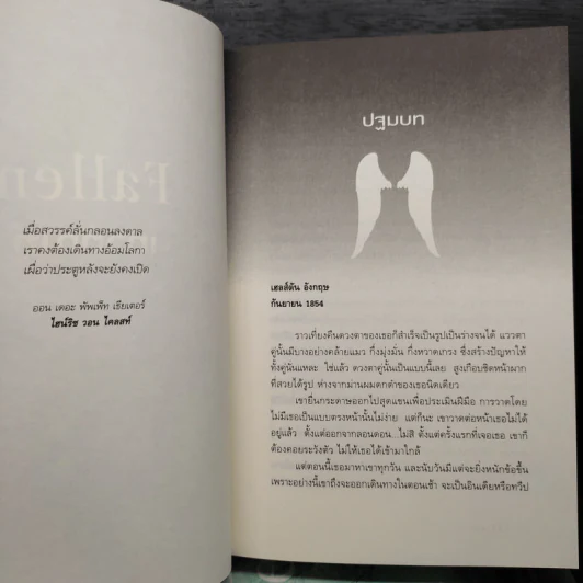 Box Set The Fallen 4 เล่มจบ - Lauren Kate (ลอเรน เคท) รูปที่ 9