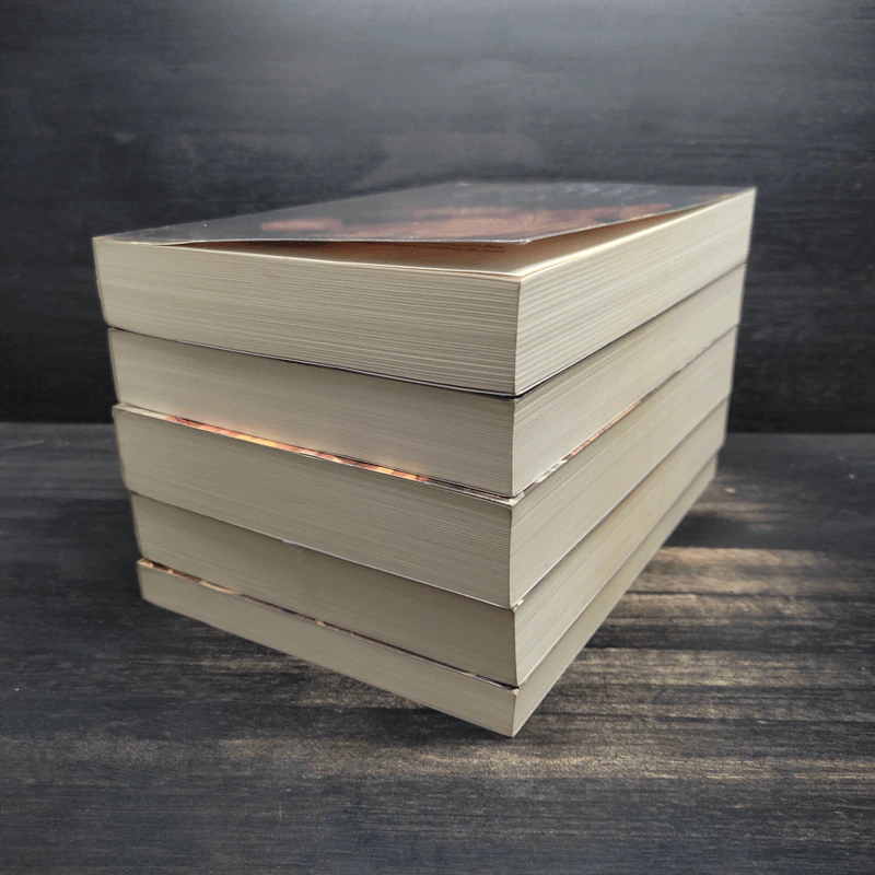 Box Set เซวีน่า มหานครแห่งมนตรา 5 เล่มจบ - กัลฐิดา รูปที่ 7