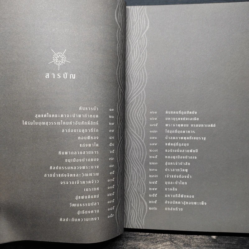 ๑๔๒ วัน ๑,๘๐๐ กม. นิเวศศิลป์ริมโขงของศิลปินนอกคอก - พิน สาเสาร์ รูปที่ 6