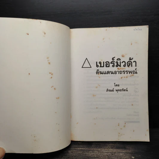 สามเหลี่ยมเบอร์มิวด้า ดินแดนอาถรรพณ์ - ภิรมย์ พุทธรัตน์ รูปที่ 4