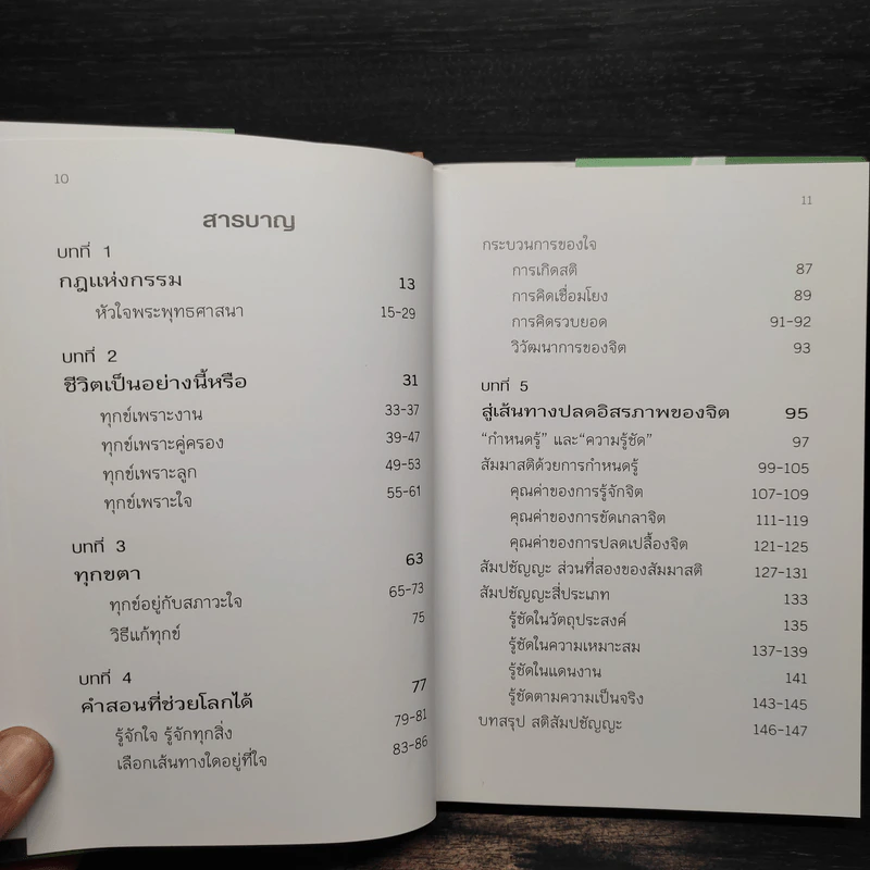 แรงบันดาลใจจากบทแผ่เมตตา รูปที่ 6