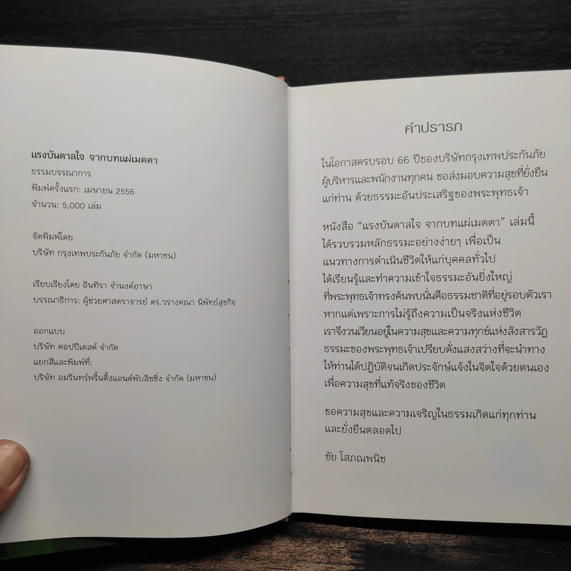 แรงบันดาลใจจากบทแผ่เมตตา รูปที่ 5