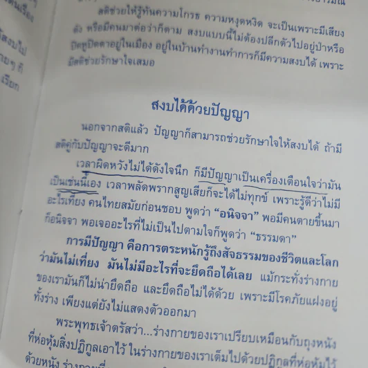 ก้าวด้วยใจไปกับธรรม - พระไพศาล วิสาโล รูปที่ 9