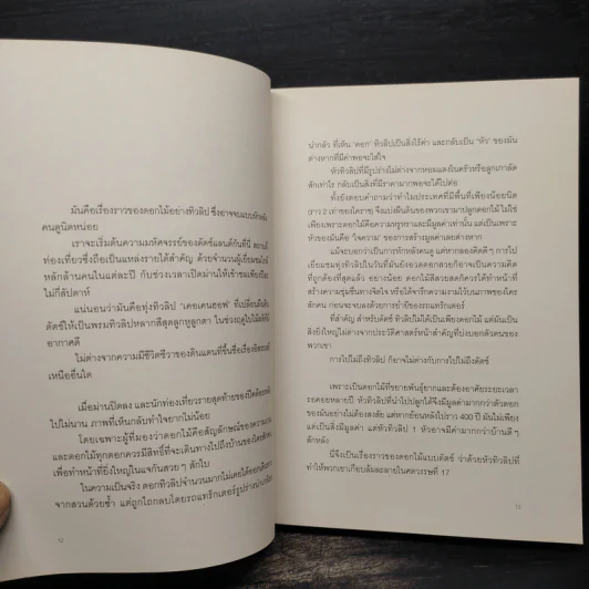 Dutchland ดัตช์แลนด์ แดนมหัศจรรย์ - Little Thoughts รูปที่ 6