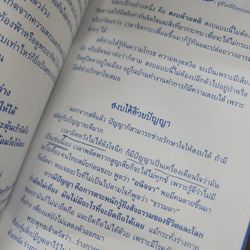 ก้าวด้วยใจไปกับธรรม - พระไพศาล วิสาโล รูปที่ 12