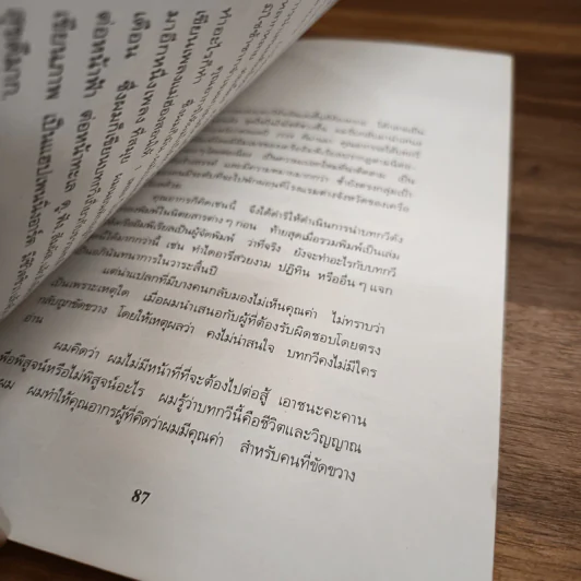 วางไว้อย่างง่ายงาม - วิสา คัญทัพ รูปที่ 10