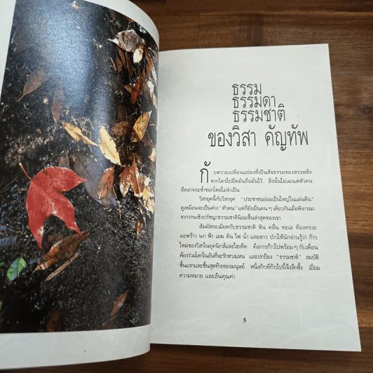 วางไว้อย่างง่ายงาม - วิสา คัญทัพ รูปที่ 7