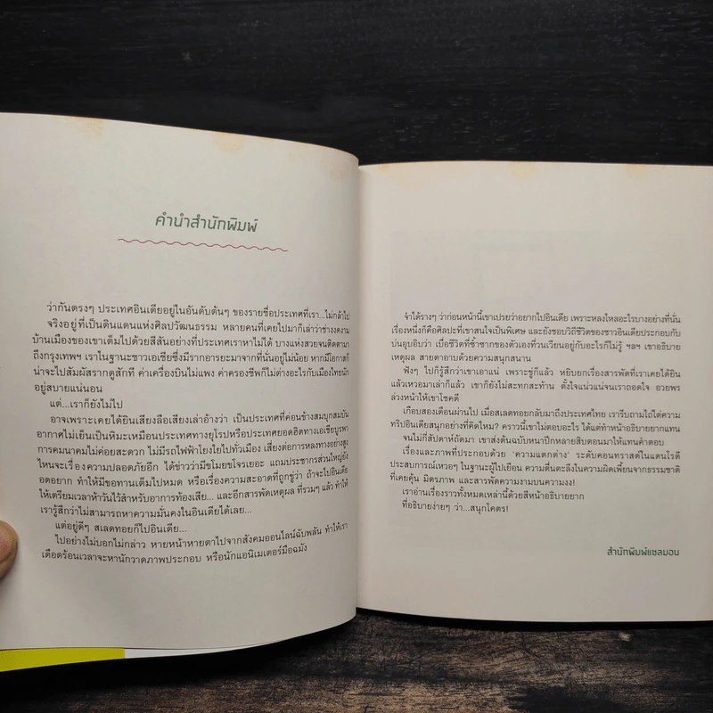 India Diary อินดง อินเดีย - SAHRED TOY รูปที่ 5