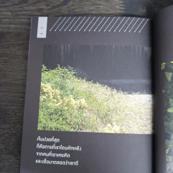 ปล่อยให้เวลาได้ทำหน้าที่ของมัน - ไอ่เป็ด รูปที่ 10