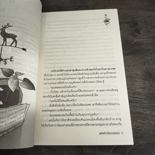 พยัคฆ์ร้ายในสายหมอก - โมริสา รูปที่ 7