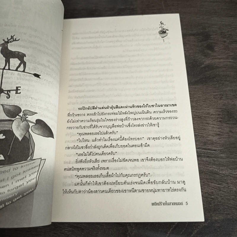 พยัคฆ์ร้ายในสายหมอก - โมริสา รูปที่ 7