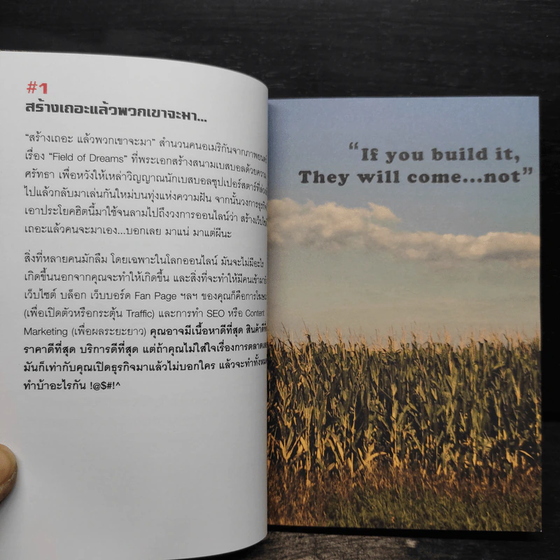 100 วิชาครอบจักรวาล SEO และเว็บไซต์ทำมาหากิน - โจ อนุชา รูปที่ 5