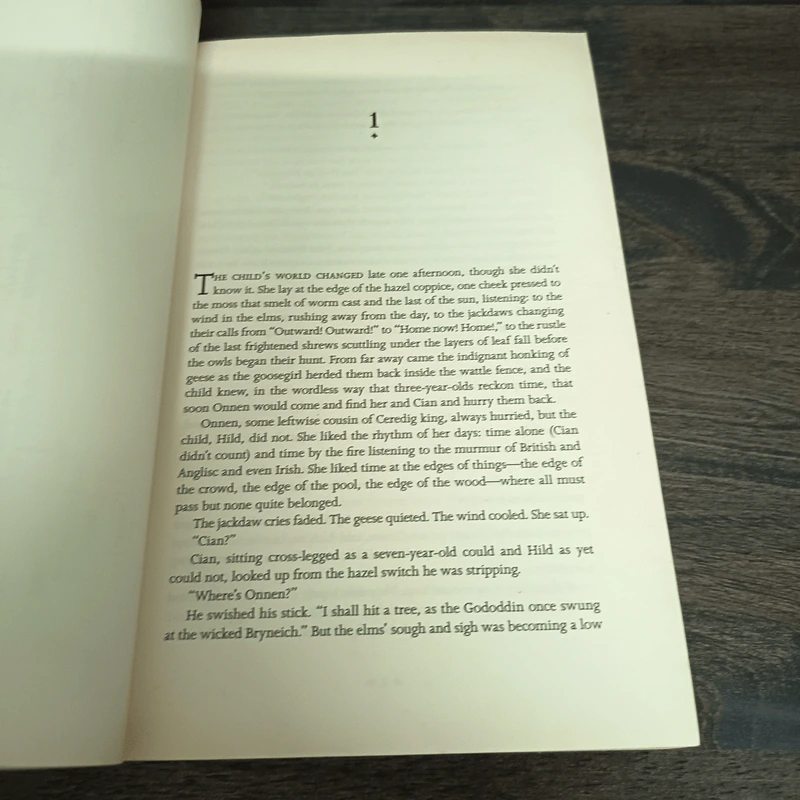 Little, Brown Book Group Hild - Nicola Griffith รูปที่ 9