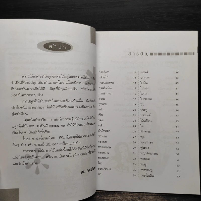 ไม้มงคล เสริมโชคลาภบารมี - เดิม สิปปพิโรดม รูปที่ 6